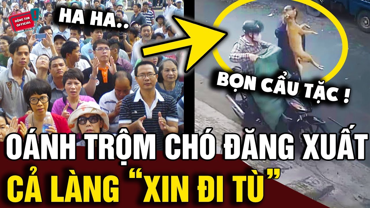 KHÔNG PHỤC vì tòa tuyên án do làm 2 NGƯỜI TRỘM CHÓ đăng xuất, cả làng đồng loạt XIN ĐI TÙ |Động Tiin