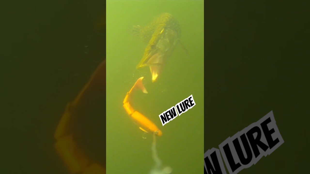 Amazing new swimbait from Savage Gear 👌