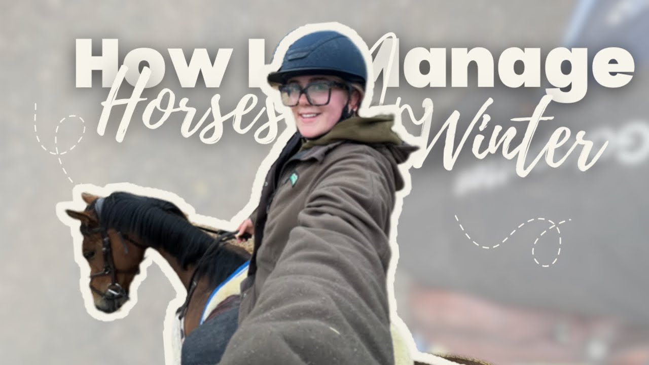 How I Manage my Horses in Winter (in Ireland!)