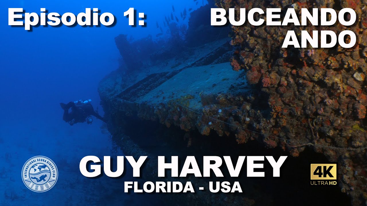 BuceandoAndo 1: Naufragio Guy Harvey (41 metros) - Florida, USA