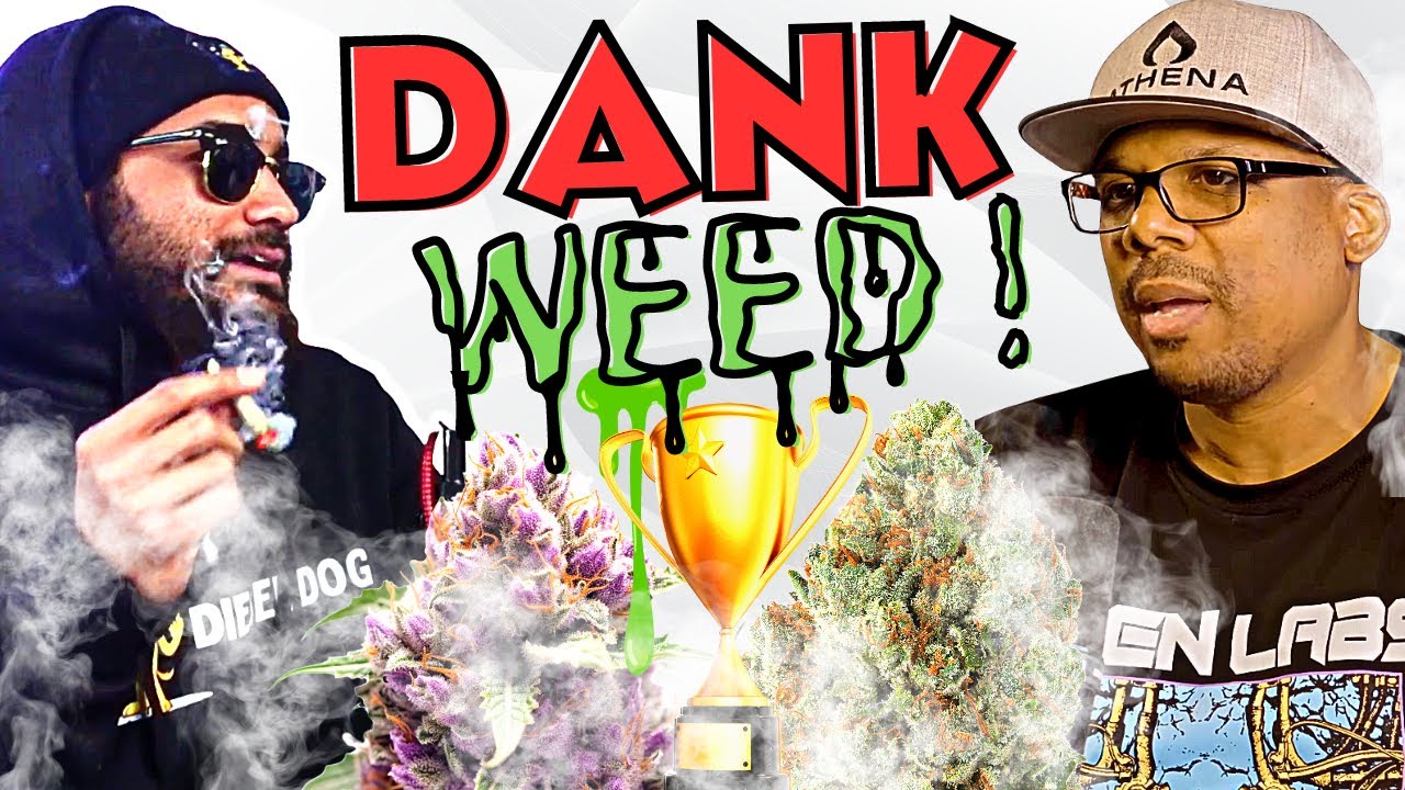 Growing Award Winning Flower! 🏆🔥 w/ MileHighDave | Talkin Loud Podcast Ep98
