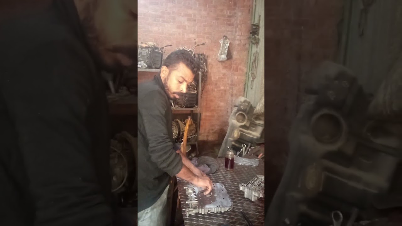 موجواد جميع انوع ا
