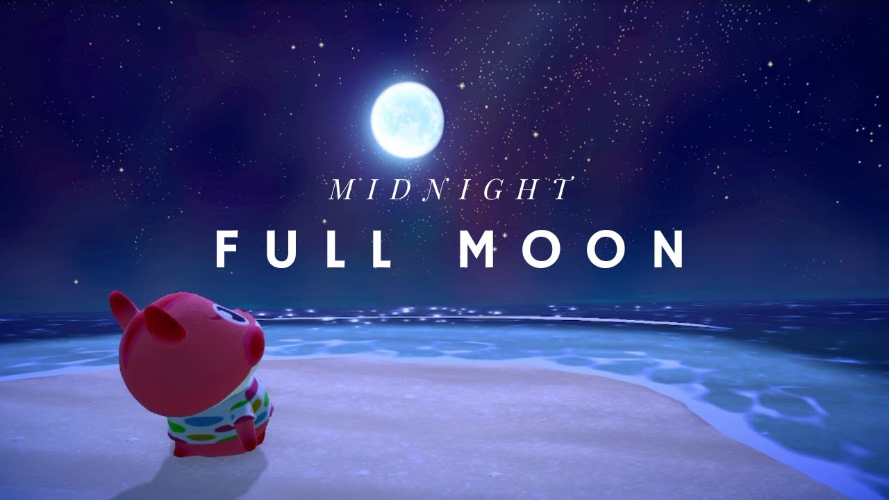 🌊 𝑾𝒂𝒗𝒆 𝑺𝒐𝒖𝒏𝒅𝒔 + 𝑨𝒎𝒃𝒊𝒆𝒏𝒕 𝑴𝒖𝒔𝒊𝒄 🎧 | 	Peaceful Late Night Island in ACNH | 모동숲 | あつ森