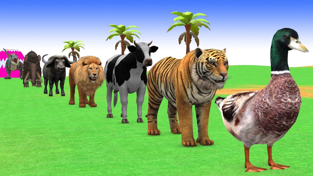 Long Slide Game with Cow Elephant Gorilla Hippopotamus Tiger 3d Animal Game Funny 3d Animals