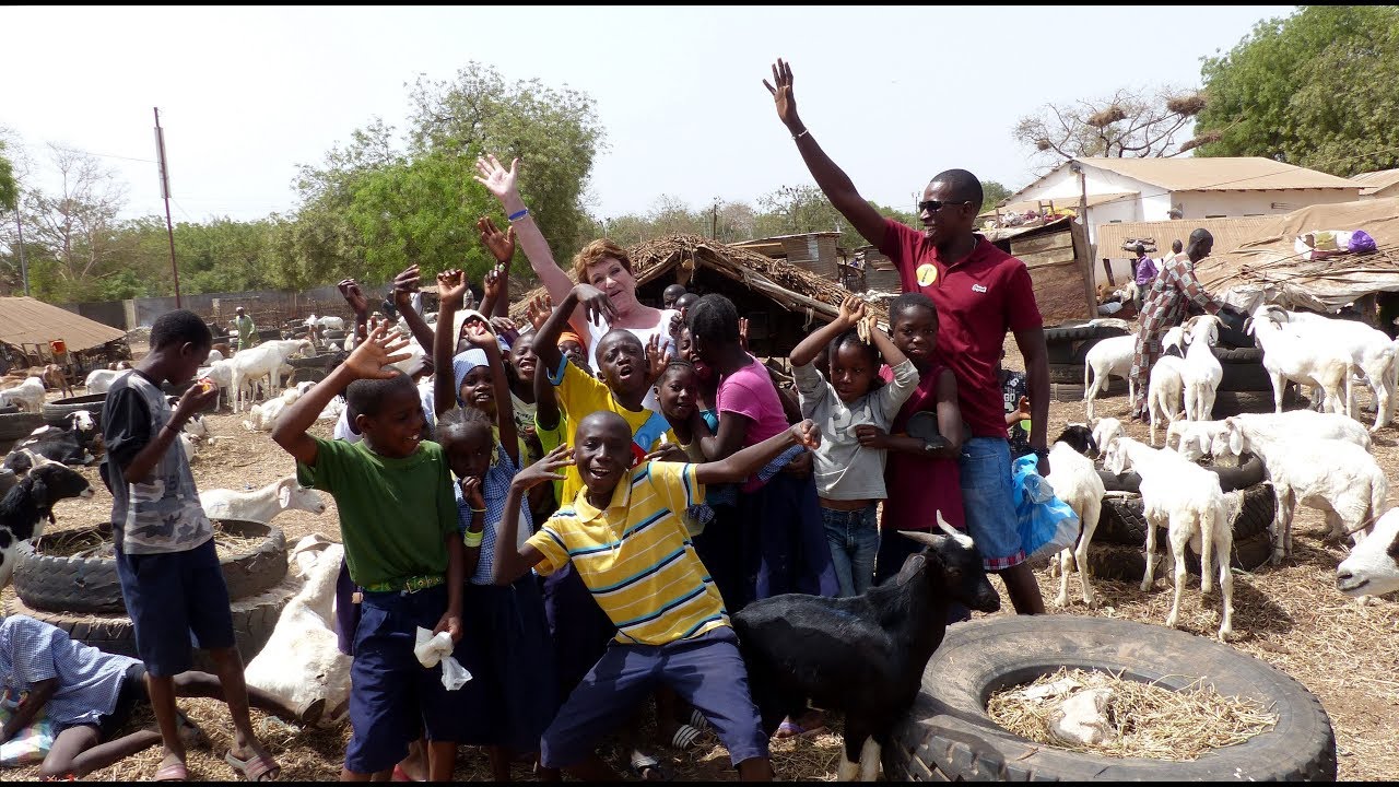The Gambia (3) - Trip with Guide/Driver Muhammed Sisawo to Animal Market at Abuko / 2018