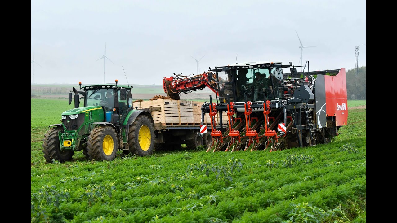 ETA Baugniet et fils a la récolte des carottes avec une Dewulf ZKIV 4 Rangs