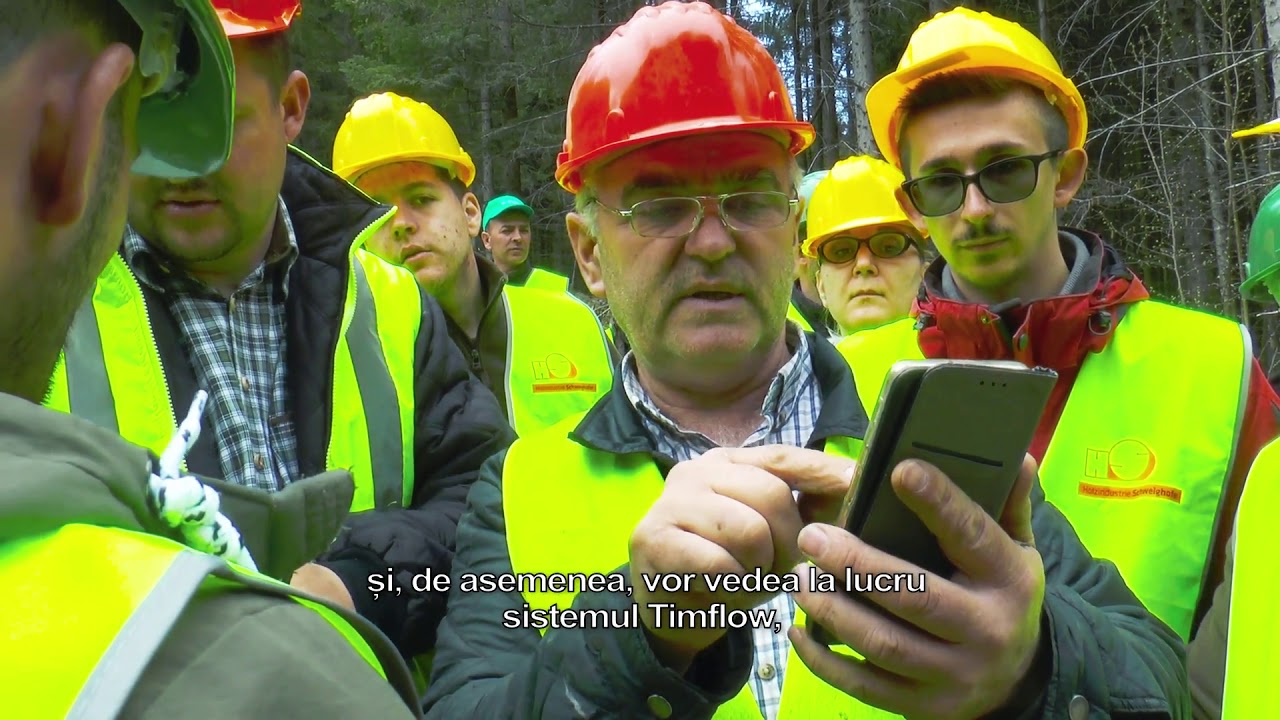 Drumul lemnului