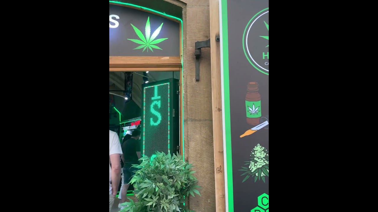 Cannabis| Old town square|Prague| Czech Republic| Europe