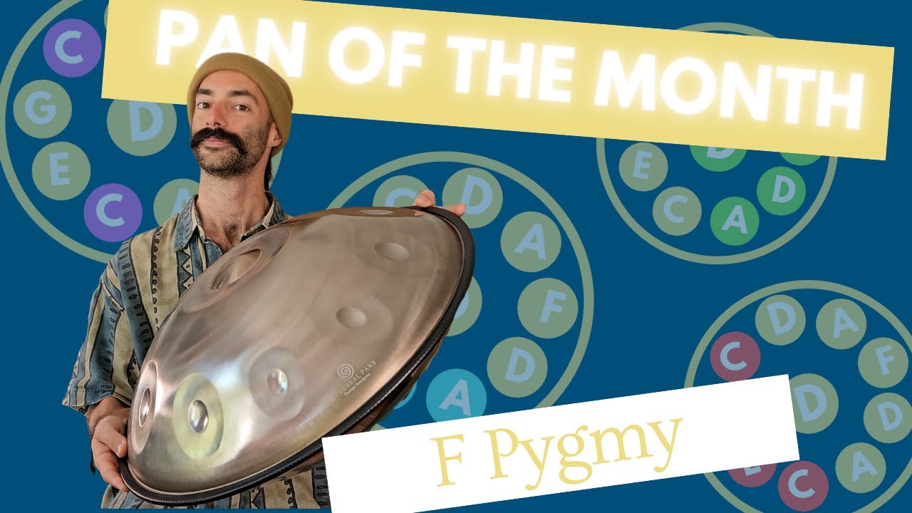 Handpan Tutorial | PAN OF THE MONTH #3: F PYGMY | Learn Scale & Chords