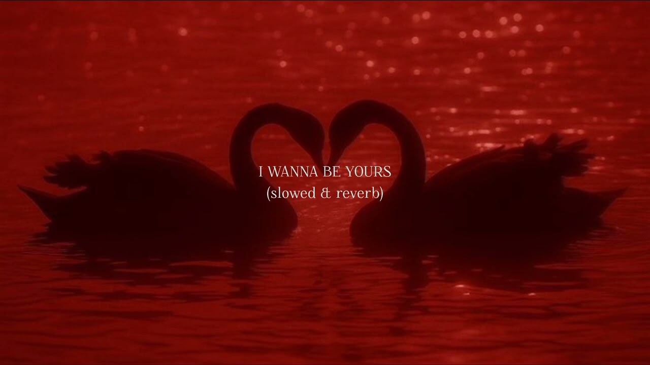 I wanna be yours (slowed & reverb) @Armlink.loveem 