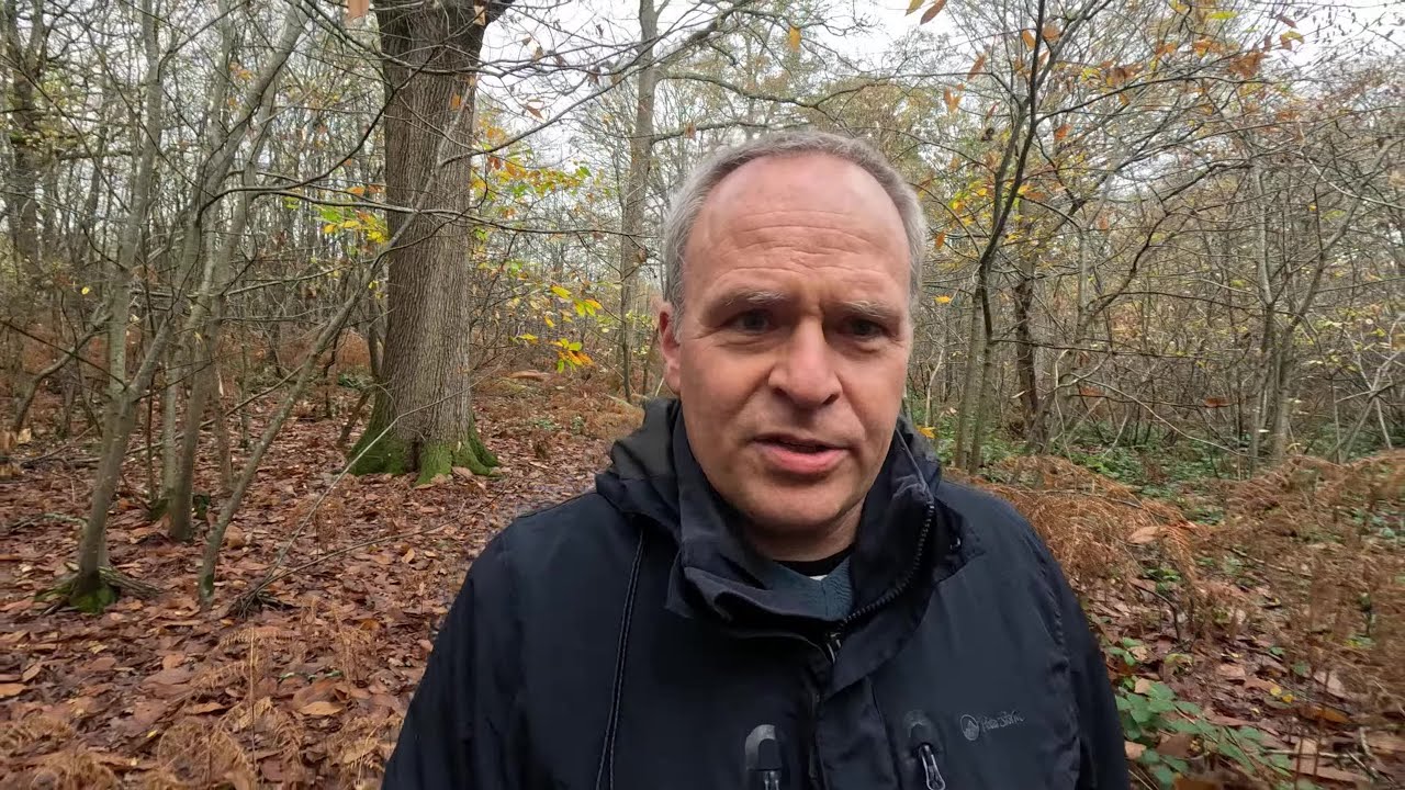 Мой путь борьбы с раком простаты — часть 1: анализ на ПСА и МРТ.