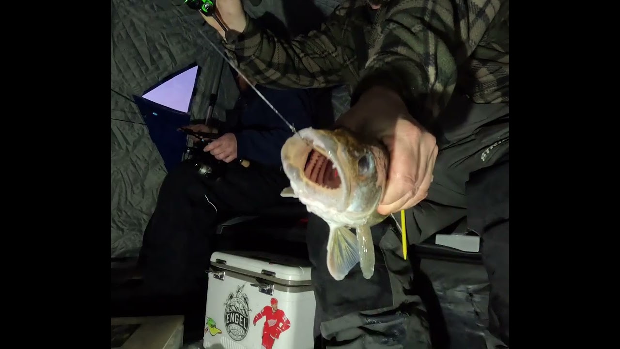 SAGINAW BAY ICE WALLEYES              VALENTINES BAY SPECIAL!