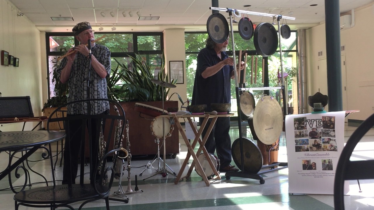 VIBRANT ENSEMBLE(Stephan Brandstatter & Dennis Waring)