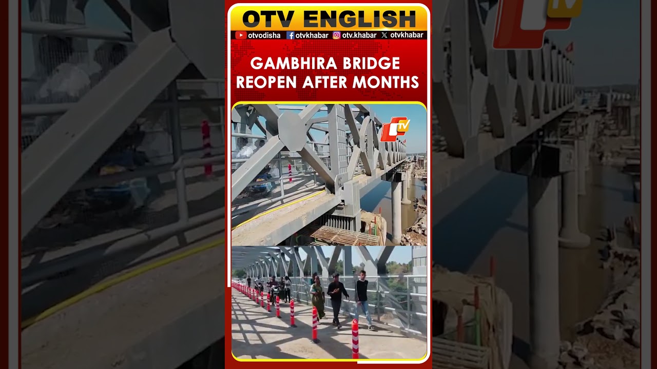 Gambhira Bridge Reopens For Two-Wheelers In Vadodara Months After Collapse | Gujarat