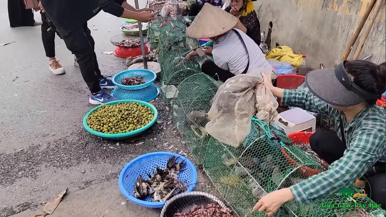 Chợ Mường Lò Nghĩa Lộ Yên Bái - Bản Rất Nhiều Loại Ch.im  Quý H.iếm - Cửa Ngõ Tây Bắc