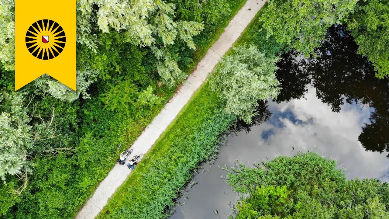 Fascinated by Life | The storyline of Utrecht Life Sciences