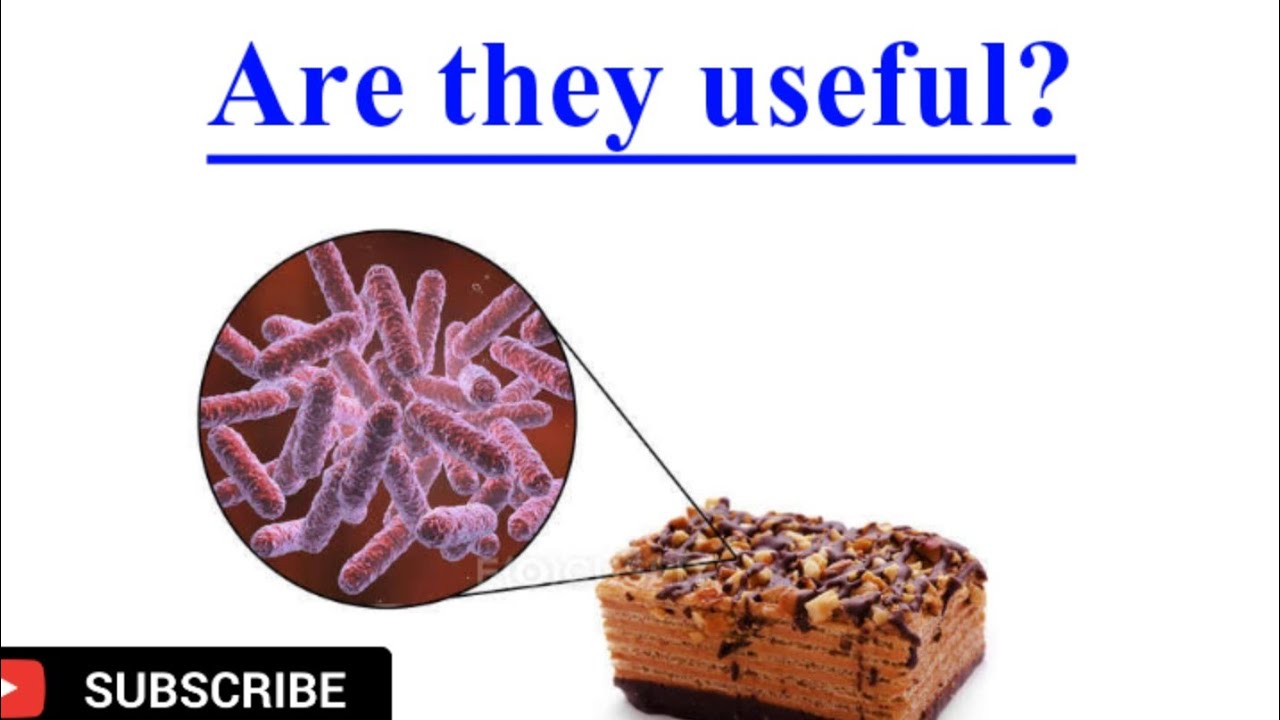 Why microorganisms are important | Biology | Grade11