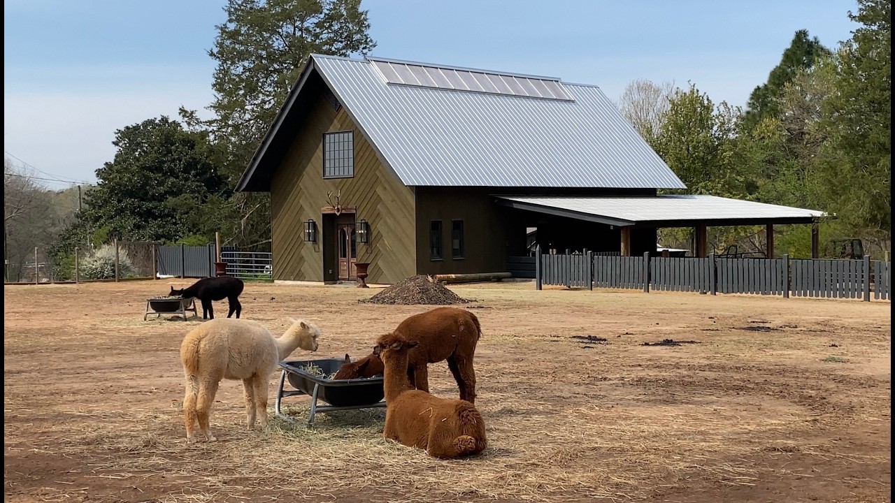 Weekend trip to Holl & Stone Farms and White Deer Nature Preserve did not disappoint