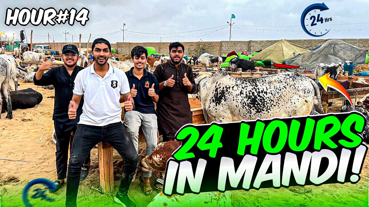 24 hours in mandi 😍 | doston ka sath prank kar diya 😂