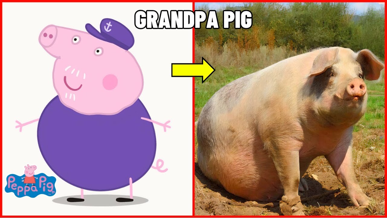 Как персонажи &laquo;Свинки Пеппы&raquo; выглядят в реальной жизни 2024 года 🐷