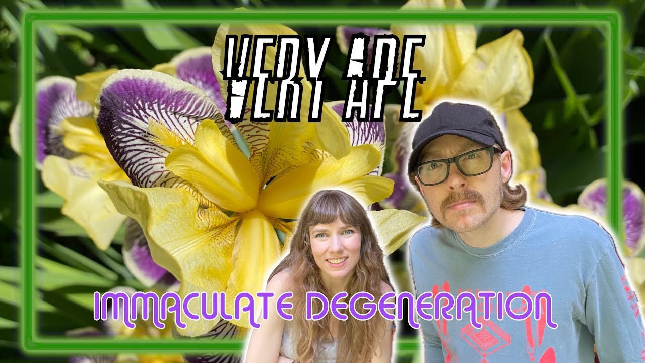 382 - Immaculate Degeneration