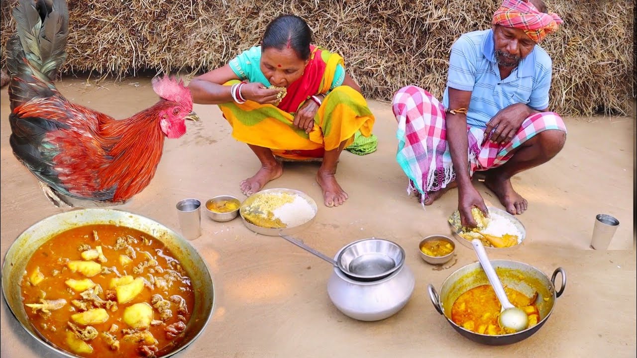 house pet RED COUNTRY chicken curry cooking&eating by santali tribe women||rural village life