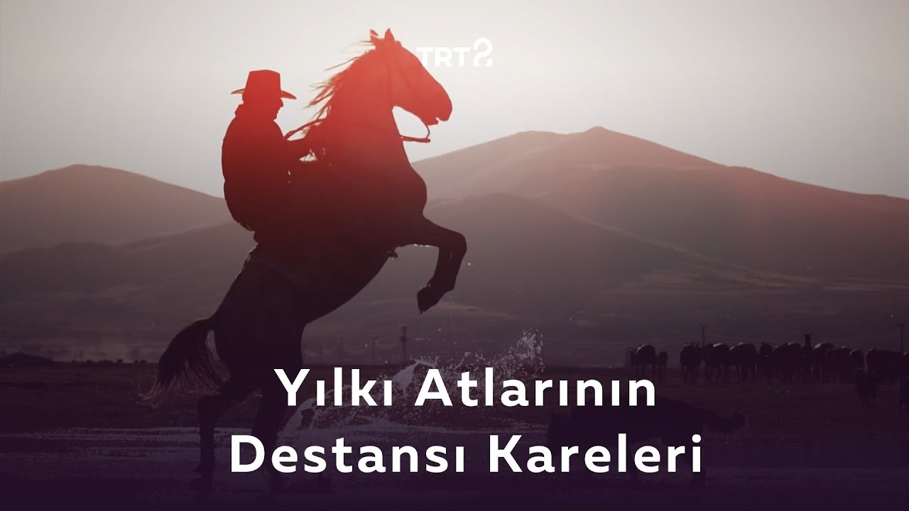 Kayseri'nin Yılkı Atları 🤩  | Destansı Kareler