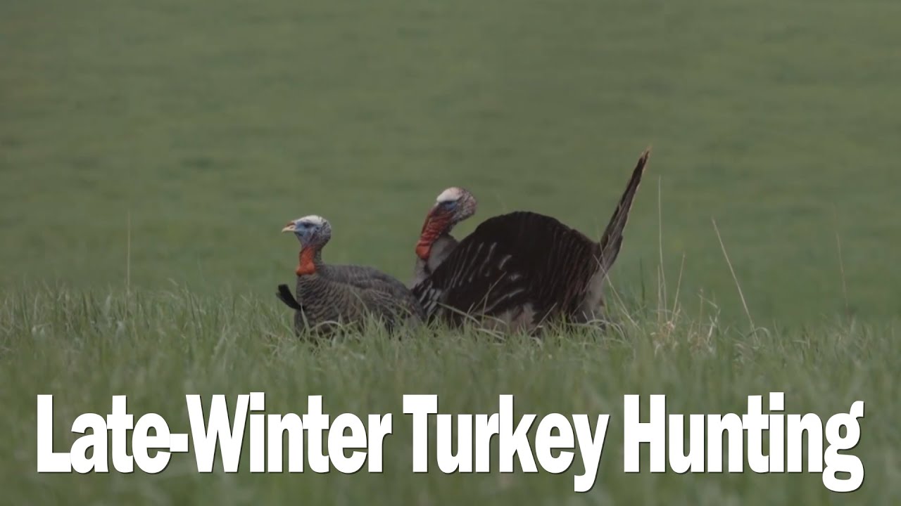 【Camojojo】Winter Camouflage for Late-Winter Turkey Hunting: How to Blend in and Stay Hidden