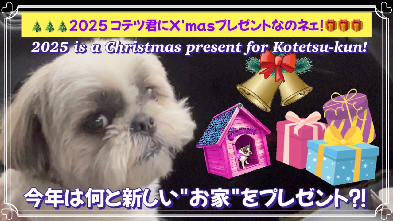 2025 コテツ君にX'masプレゼントなのネェ! 今年は何と新しい