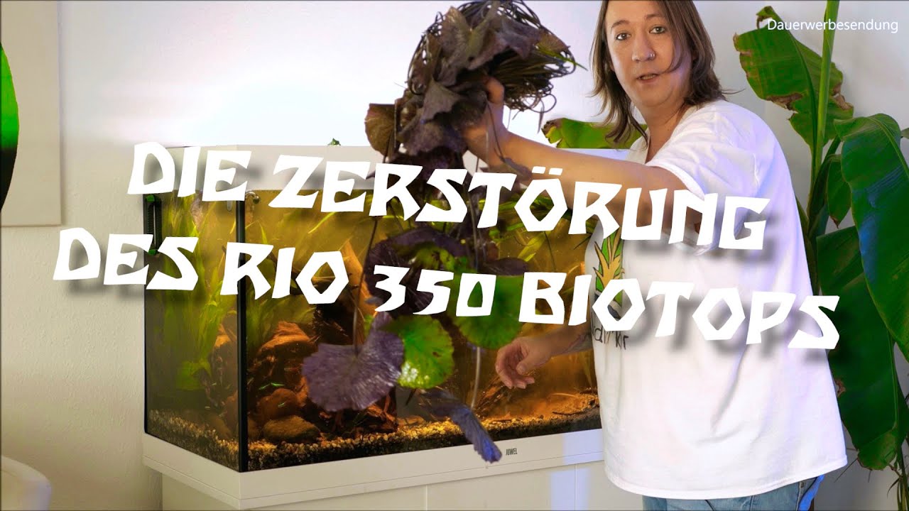 Re-Scape 2.0 - Das Rio 350 bekommt ein neues Gesicht! 🌾🙈 | Teil 1/3