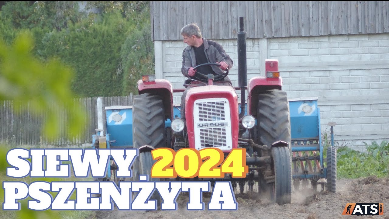 Siewy pszenżyta 2024/C-360//ATS