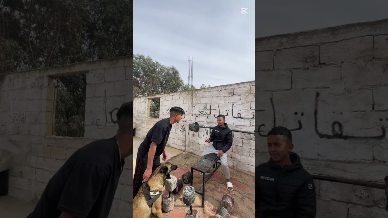 طغا في دوار 🏘️ وجبتو  البيشر  يدريسيه 😂 كان غيموت 😱  #viralvideo #video #reels #fyp #follow #tiktok