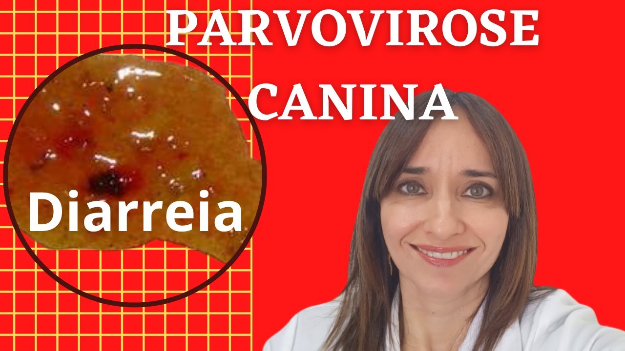 PARVOVIROSE CANINA!! Veterinária explica tudo!