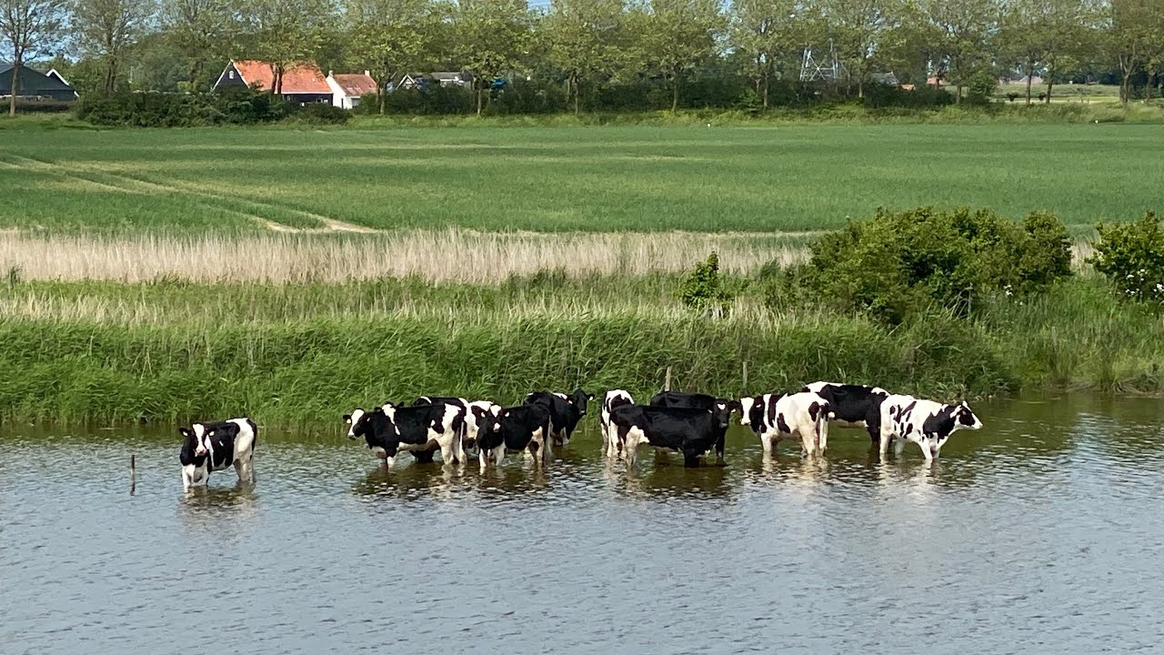 2024#2 Heinkenszand