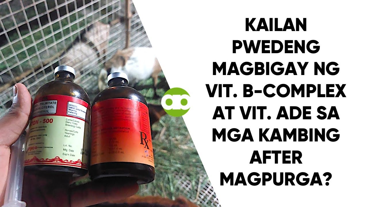 Kailan Pwedeng Magbigay ng Vit. B-Complex at Vit. ADE sa mga Kambing After Magpurga?