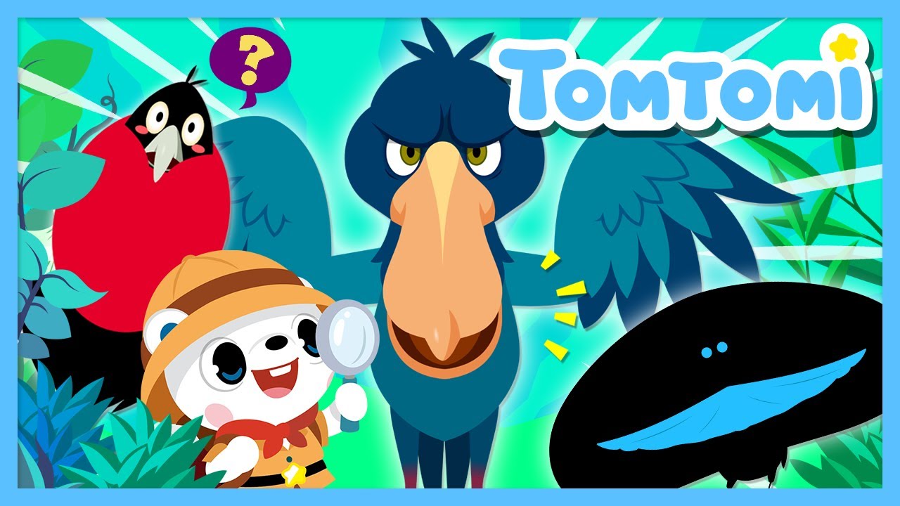 ¿Qué animales sorprendentes vamos a conocer? | Canciones Infantiles | Canción de animales #TOMTOMI