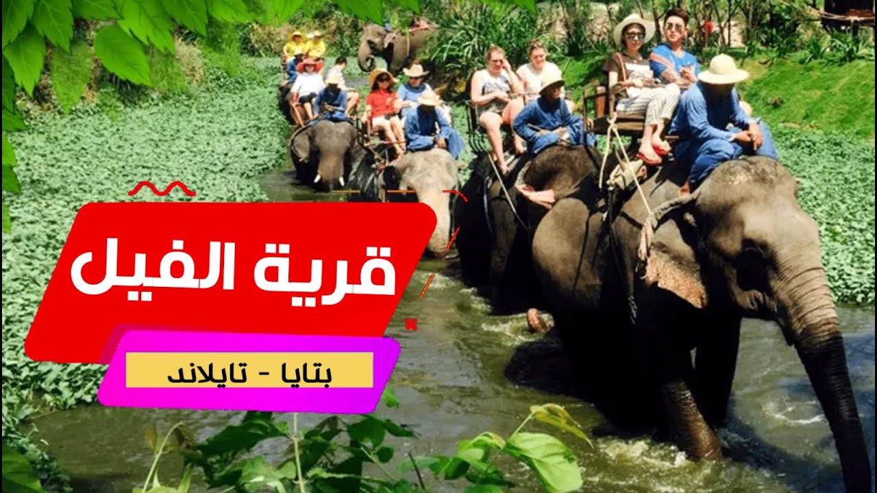 افضل  الاماكن السياحية في  بتايا - تايلاند | قرية الفيل