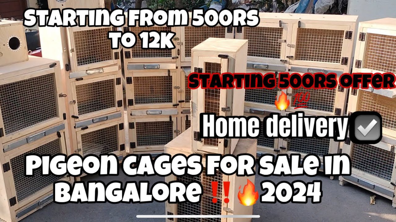 Pigeon cages for sale in Bangalore 🔥2024/ 99019 02601 \ 63628 99764