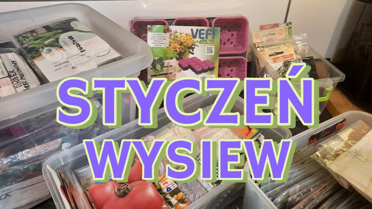 WYSIEWY W STYCZNIU 🌱 OD CZEGO ZACZYNAM NOWY SEZON .