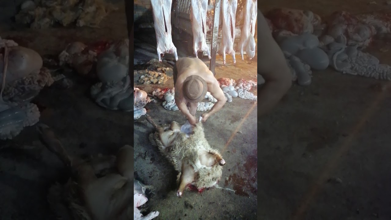 اسرع قصاب في بغداد اخوكم احمد السلامي اكو منافس
