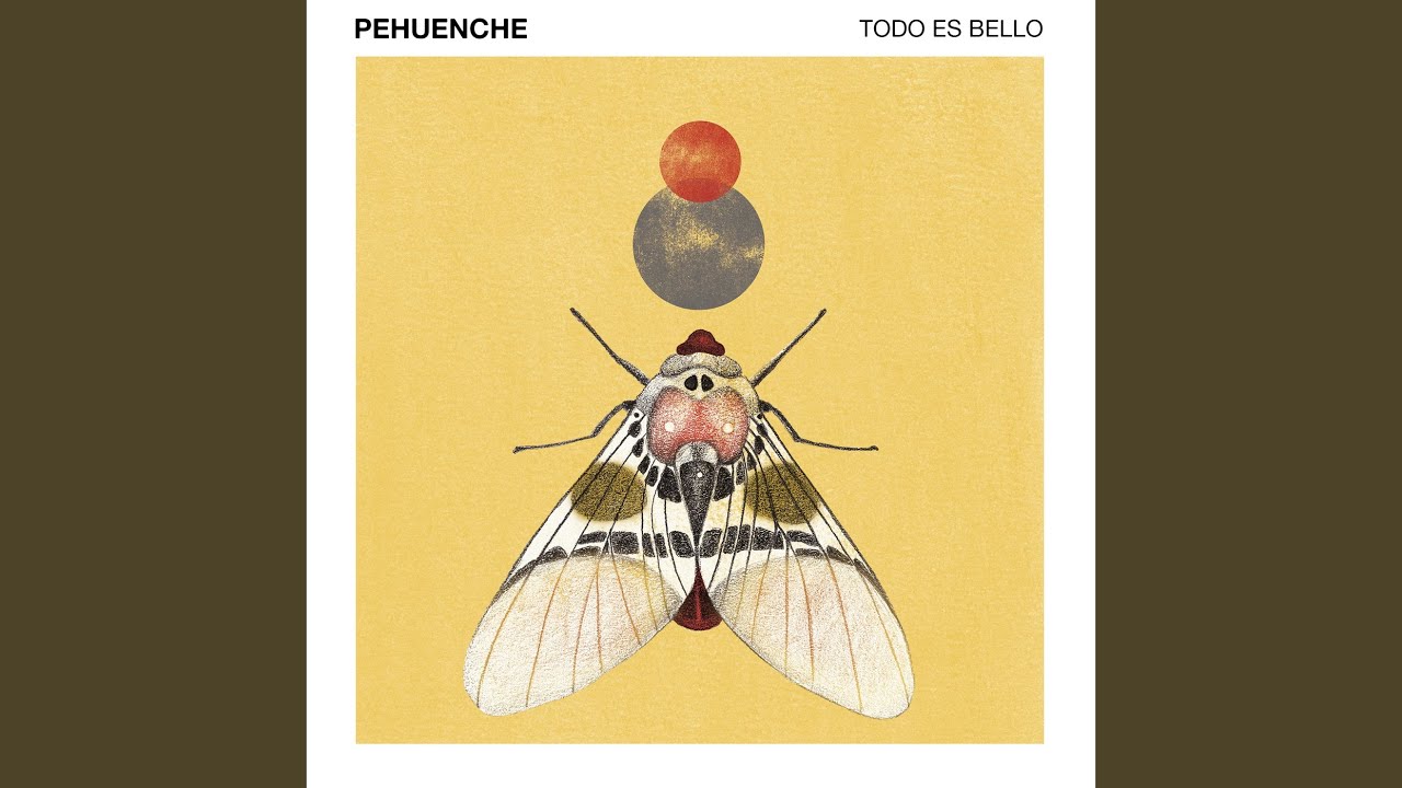 Todo es Bello
