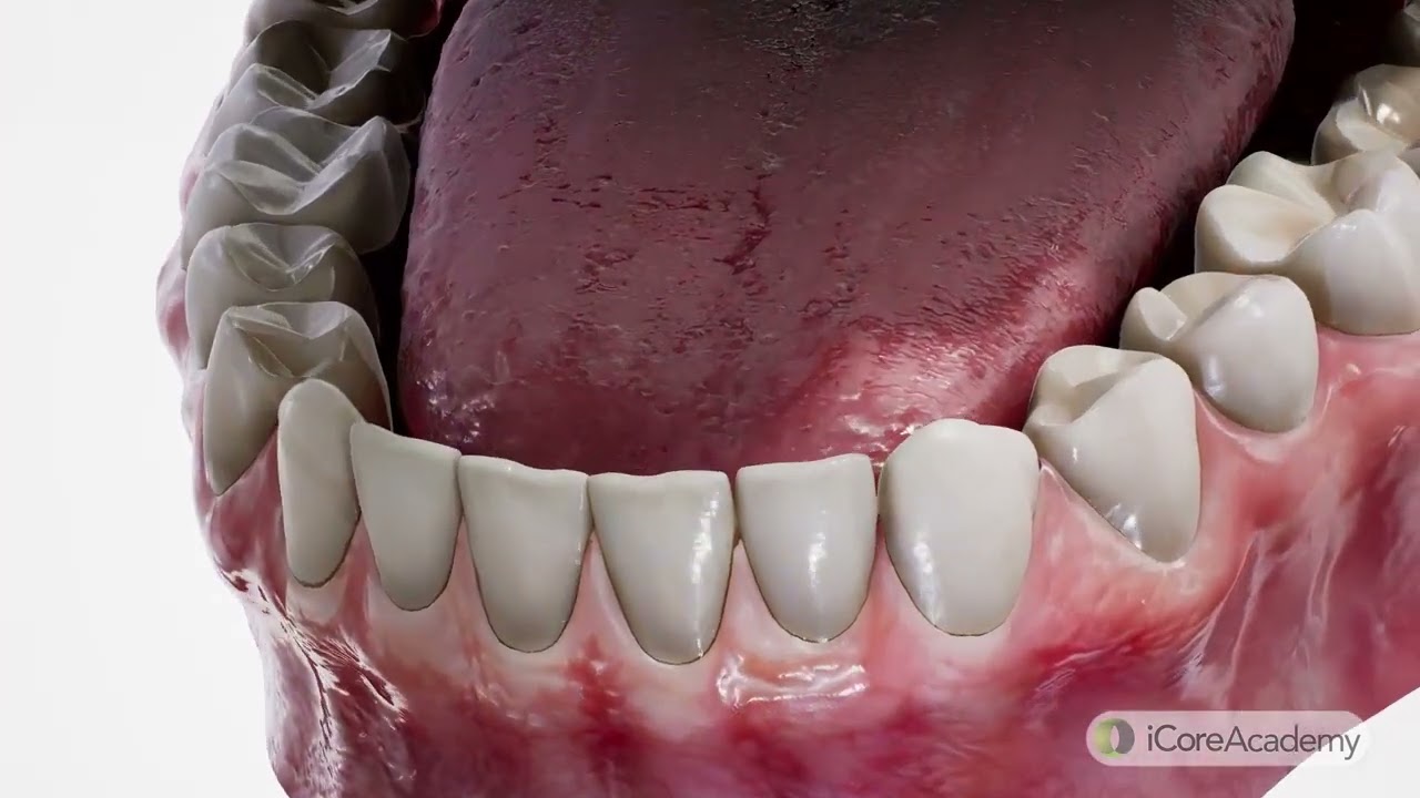 Essential Care | Filling Post-Op Instructions for a Healthy Smile