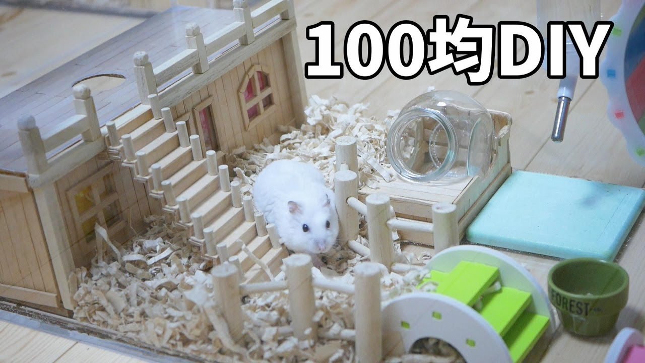 DIY 100均素材で作ったハムスターのお家 How To Make Miniature Hmaster House