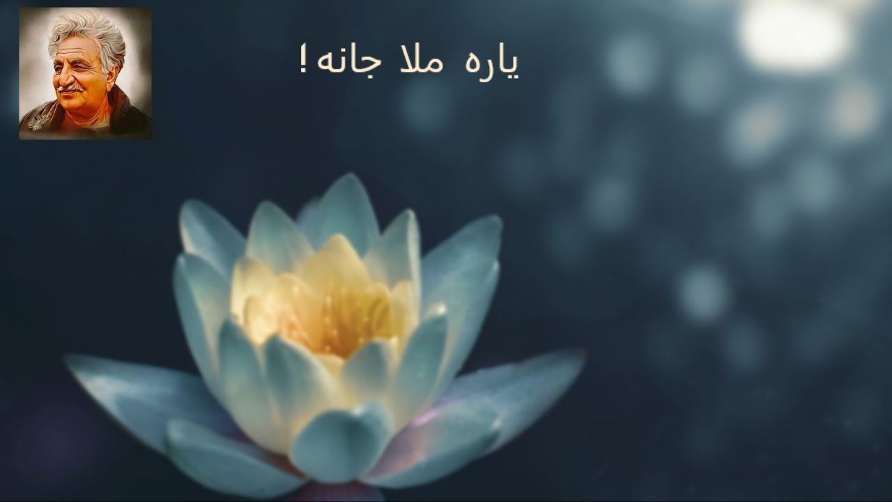 Ghani Khan poem Yara Mula Jana| Tashreeh| By Taseer Khan | Ghani Khan shaeri| Explaination