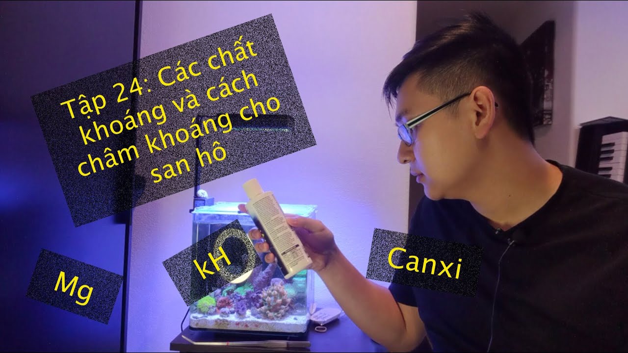 Tập 24: Các chất khoáng trong hồ và cách châm khoáng cho san hô