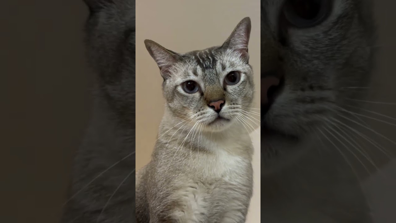 Это странное зрелище 🙄