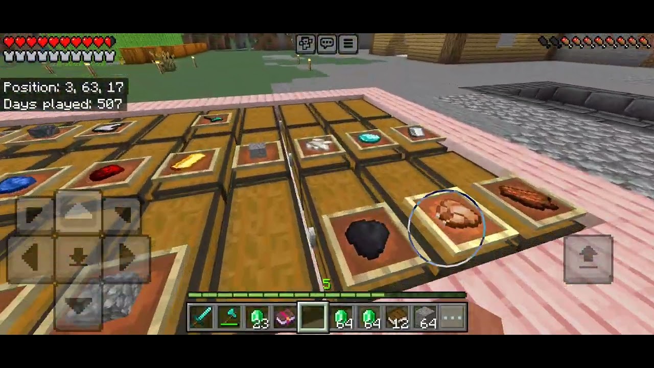 minecraft survival day 508