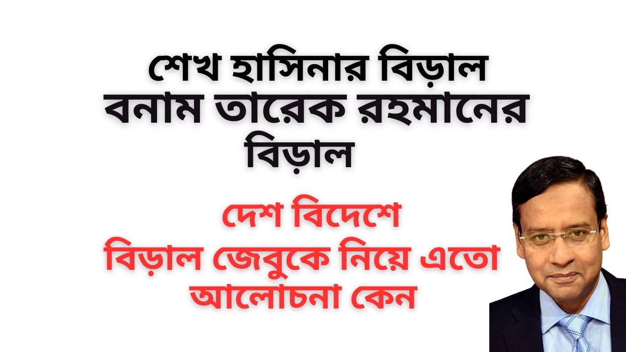 শেখ হাসিনার বিড়াল বনাম তারেক রহমানের বিড়াল ! দেশ বিদেশে বিড়াল জেবুকে নিয়ে এতো আলোচনা কেন !