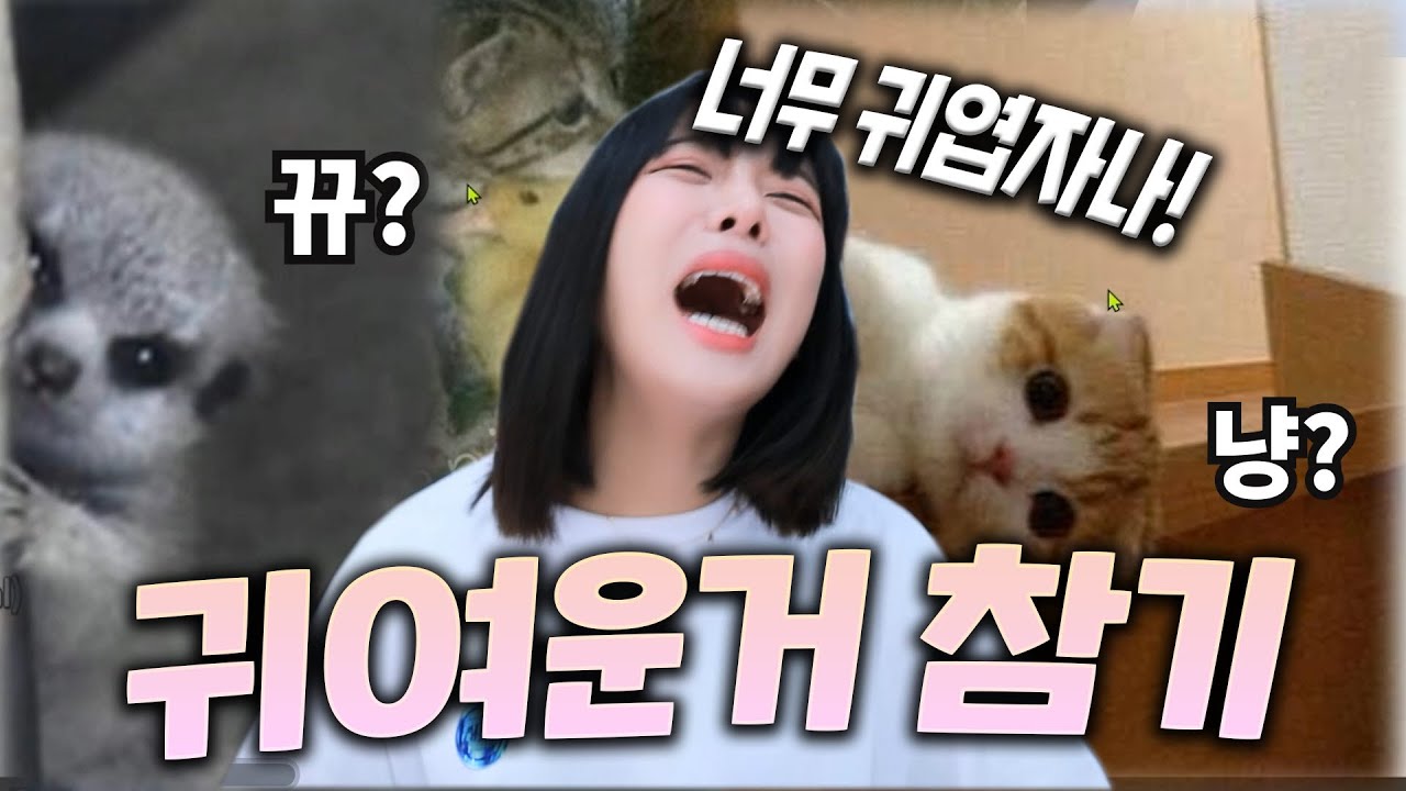 귀여운거 못참지 (귀참)