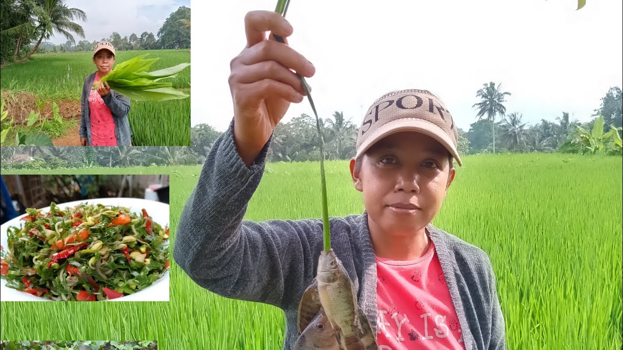 Mbolang lagi ‼️cari daun kunyit buat di oseng dan mancing di kolam